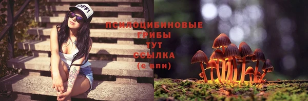 ешки Алзамай