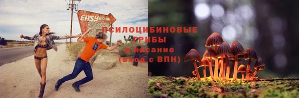 прущая мука Абаза
