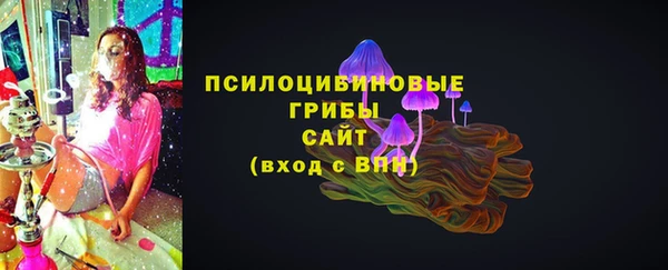 герыч Алексин