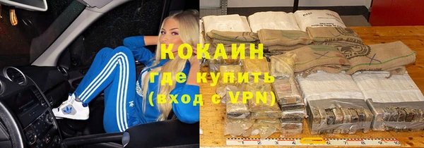 ешки Алзамай