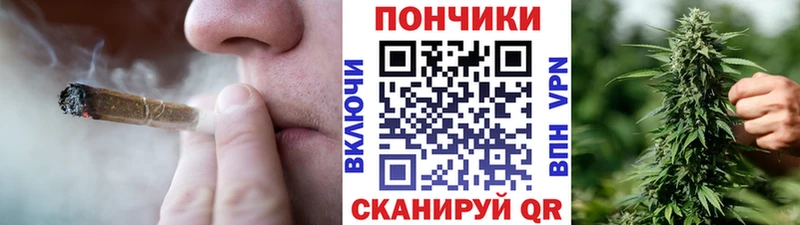 где найти Майский Марихуана конопля